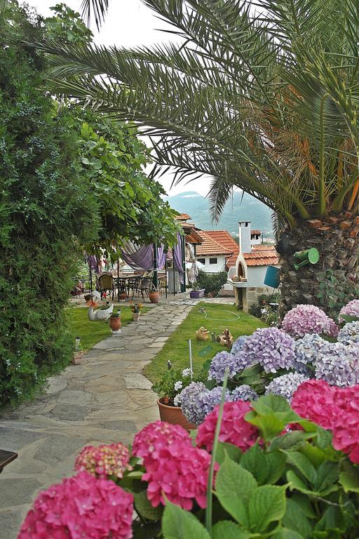Studios Ifigenia Skala Potamia  Bagian luar foto