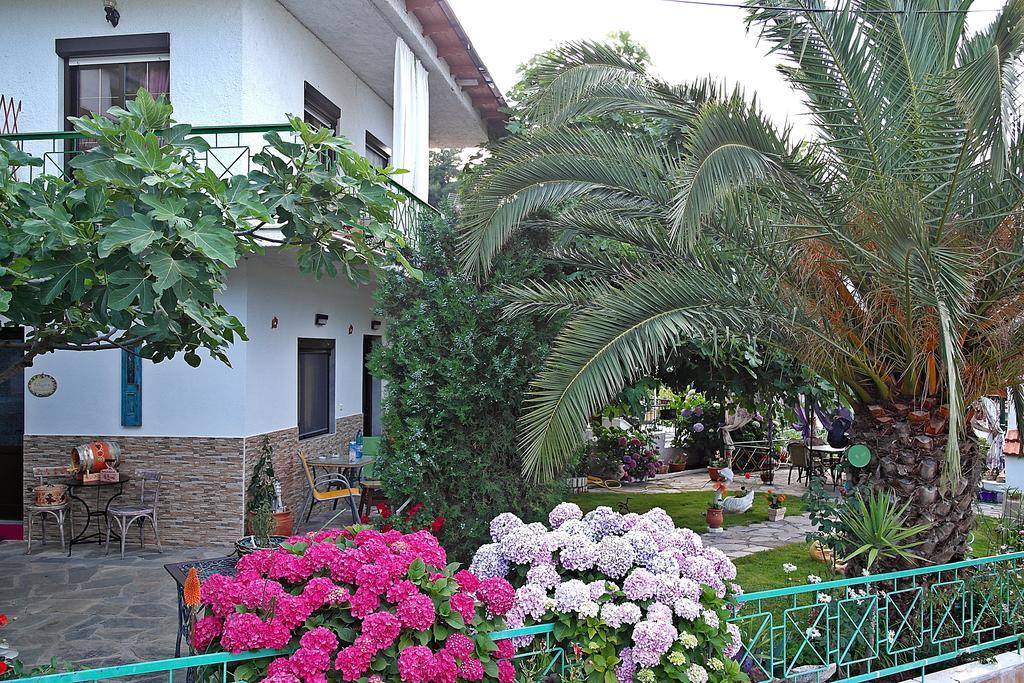 Studios Ifigenia Skala Potamia  Bagian luar foto