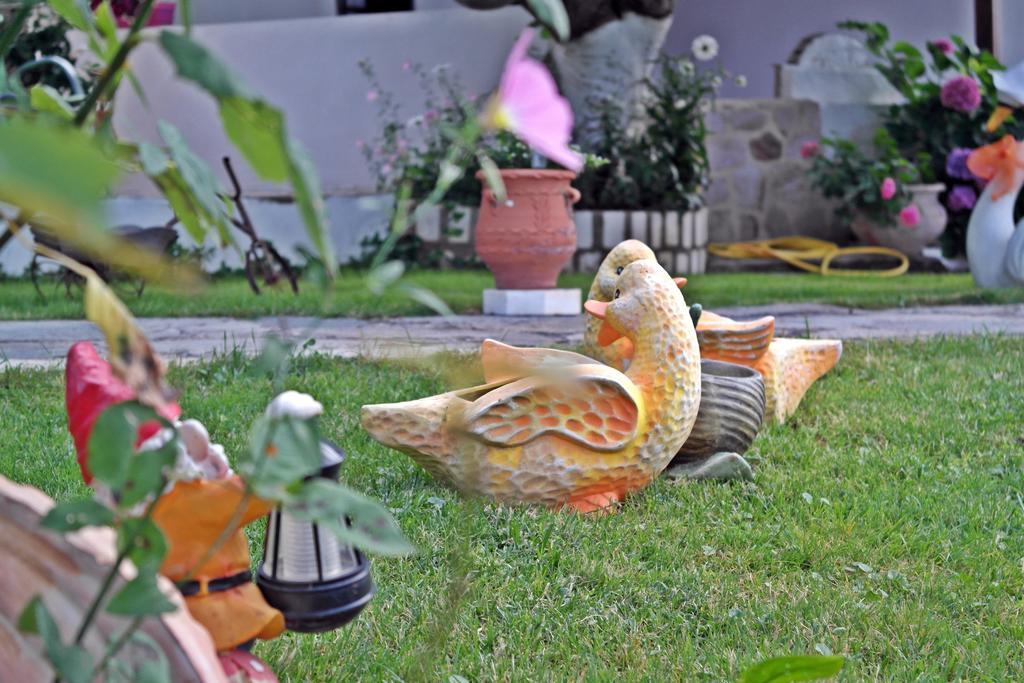 Studios Ifigenia Skala Potamia  Bagian luar foto
