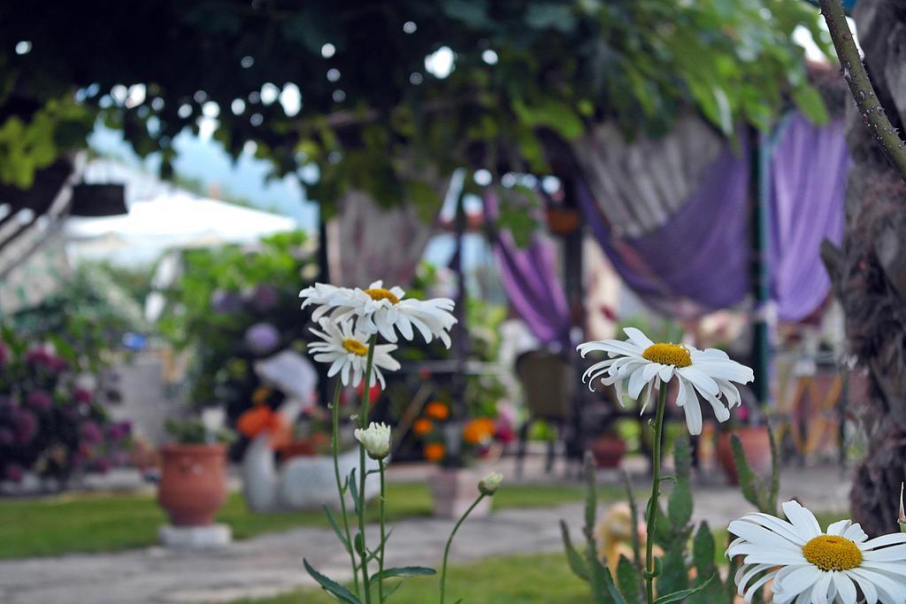 Studios Ifigenia Skala Potamia  Bagian luar foto